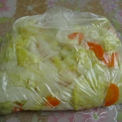 野菜スープ用に。旅行前に処理したかった野菜を保存できて助かりました。ありがとうございます(*^_^*)